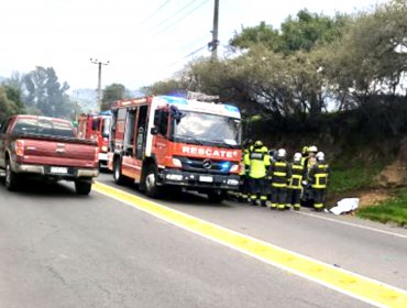 Mujer de 31 años perdió la vida tras protagonizar violenta colisión frontal contra un camión en sector Lo Hidalgo de Villa Alemana