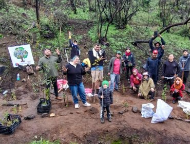 Vecinos lideran operativo de reforestación en zonas afectadas por megaincendio en Viña del Mar