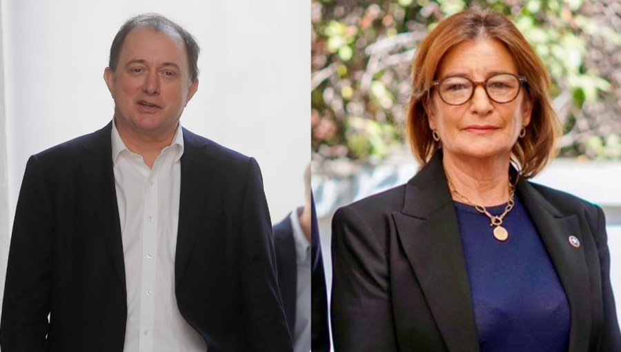 Se aclara panorama electoral en Viña: Poduje queda solo compitiendo con Ripamonti ante bajada de carta de Republicanos Antonella Pecchenino