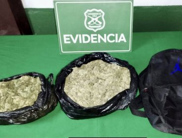 Dos sujetos fueron detenidos por transportar 1,7 kilos de marihuana en Putaendo