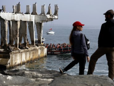 Diputado Celis pide cuentas a Carabineros y la PDI por aumento de delitos contra turistas