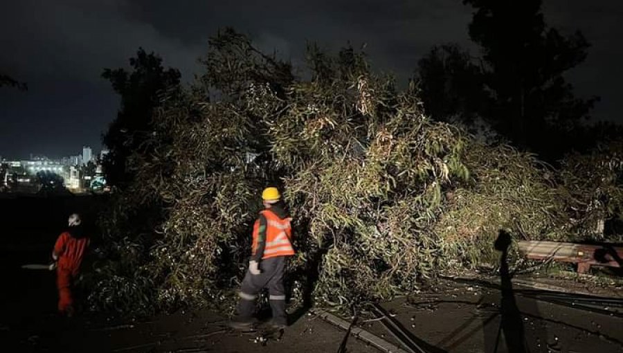 Rachas de viento de hasta 90 km/h golpearon a sectores altos del Gran Valparaíso