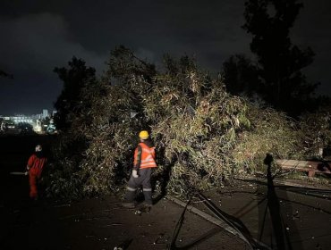 Rachas de viento de hasta 90 km/h golpearon a sectores altos del Gran Valparaíso