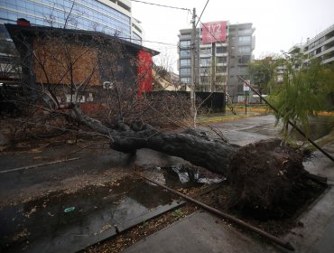 Enel transparenta que reposición de suministro eléctrico en la región Metropolitana "puede tomar varios días"