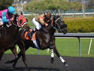 Disfrutar de las carreras de caballos con Melbet: Consejos para una experiencia divertida