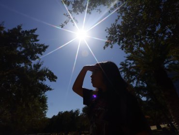 Altas temperaturas causaron la muerte de más de 47 mil personas en Europa en 2023