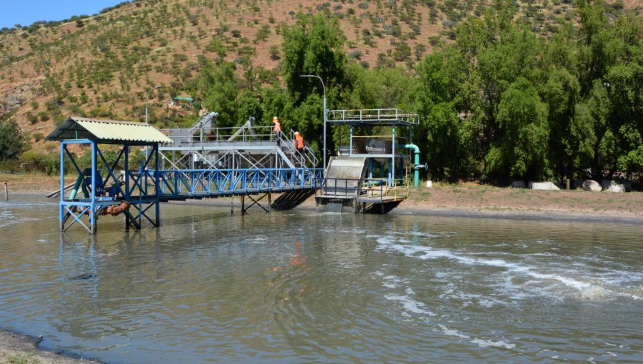 Por mal funcionamiento de su planta de tratamiento de aguas servidas, condenan al Municipio de Nogales por daño ambiental