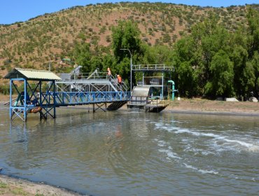 Por mal funcionamiento de su planta de tratamiento de aguas servidas, condenan al Municipio de Nogales por daño ambiental