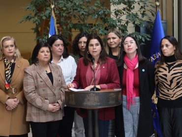 Diputadas presentan proyecto para inhabilitar a deudores de alimentos de ser candidatos a la Presidencia o al Congreso