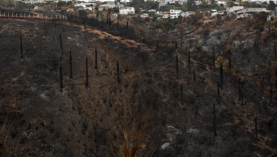 Piden extender bono de acogida a afectados del megaincendio en Viña, Quilpué y Villa Alemana