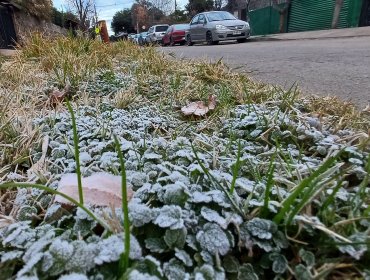 Emiten "advertencia meteorológica" por heladas en seis regiones del país: temperaturas alcanzarían los -4°C