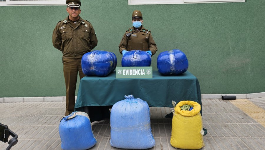 En prisión preventiva quedó sujeto boliviano al que se le incautaron 80 kilos de hojas de coca en paradero de buses en Llay Llay