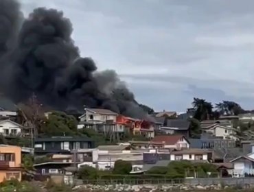 Una vivienda destruida y otras afectadas deja incendio en sector de Maitencillo en Puchuncaví