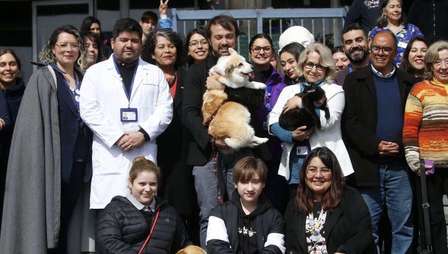 Pacientes del Hospital Carlos van Buren de Valparaíso podrán optar a programa piloto de apoyo terapéutico con mascotas