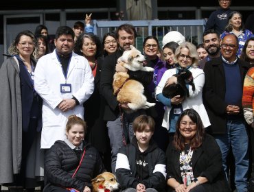 Pacientes del Hospital Carlos van Buren de Valparaíso podrán optar a programa piloto de apoyo terapéutico con mascotas