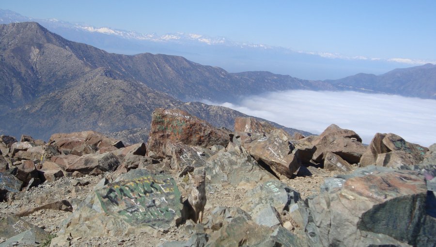 Parque Nacional La Campana activa mesa de trabajo para gestión de riesgos en acceso a la cumbre del Cerro La Campana