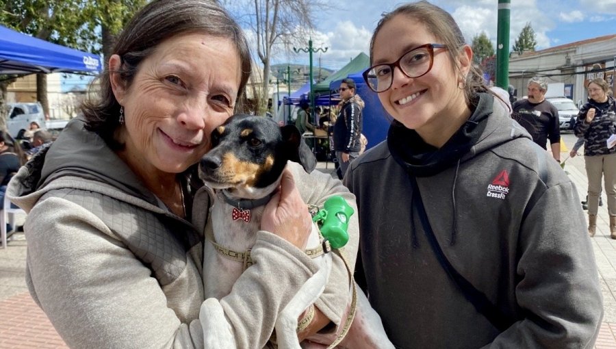 Más de 70 microchip fueron implantados a mascotas en sendos operativos en Quillota