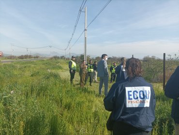 Investigan hallazgo de osamentas humanas en "avanzado estado de descomposición" al costado de un camino en Colina