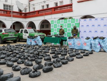 Incautan más de 320 kilos de marihuana procesada en control carretero en la provincia de Choapa