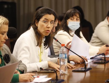 Comisión de Mujeres de la Cámara abordó despido de Isabel Amor de Sernameg Los Ríos con ausencia de la ministra Orellana