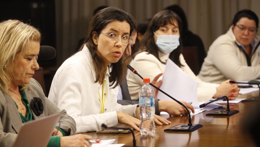 Comisión de Mujeres de la Cámara abordó despido de Isabel Amor de Sernameg Los Ríos con ausencia de la ministra Orellana