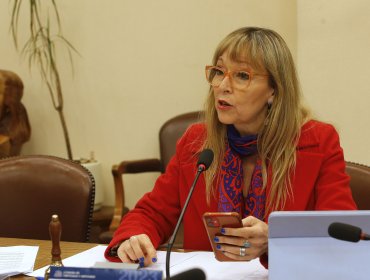 Por Fundación Daya: Parlamentarios UDI pidieron la salida de la diputada Gazmuri de las comisiones de Salud y Familia de la Cámara