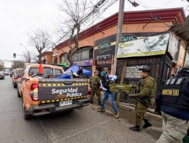 Más de 9 mil especies fueron decomisadas al comercio ilegal de Viña del Mar: operativo policial-municipal concluyó con 13 detenidos