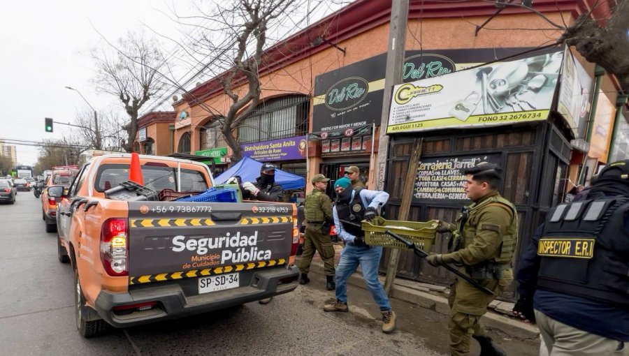 Más de 9 mil especies fueron decomisadas al comercio ilegal de Viña del Mar: operativo policial-municipal concluyó con 13 detenidos