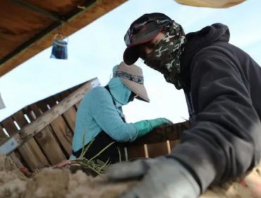 El costo del “sueño americano”: Los migrantes que mueren debido a las condiciones de trabajo extremas en EE.UU.