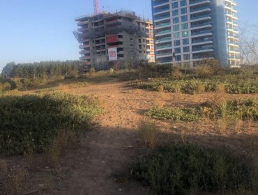 Municipio de Viña del Mar en jaque: pagar millonaria deuda a Besalco o perder exclusivo terreno inmobiliario en Reñaca