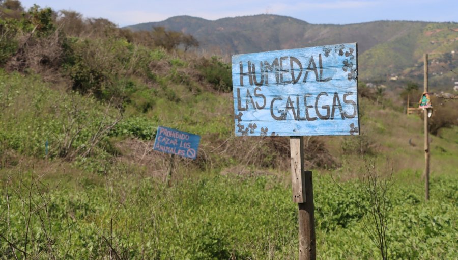 Municipio de Quillota adquiere terreno para proteger pulmón verde en San Pedro