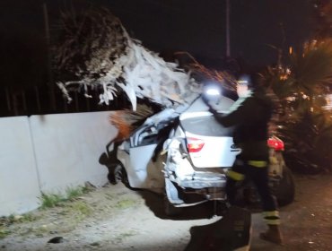 Tres fallecidos dejan sendos accidentes de tránsito en Puente Alto y Estación Central