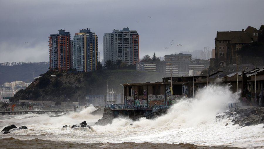 Emiten aviso de marejadas desde el Golfo de Arauco hasta Arica y Archipiélago Juan Fernández durante Fiestas Patrias