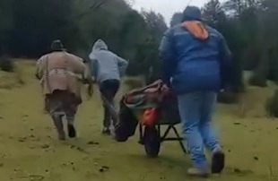 Municipio de Panguipulli anunció sumario por paciente trasladado en carretilla al centro de salud de Liquiñe