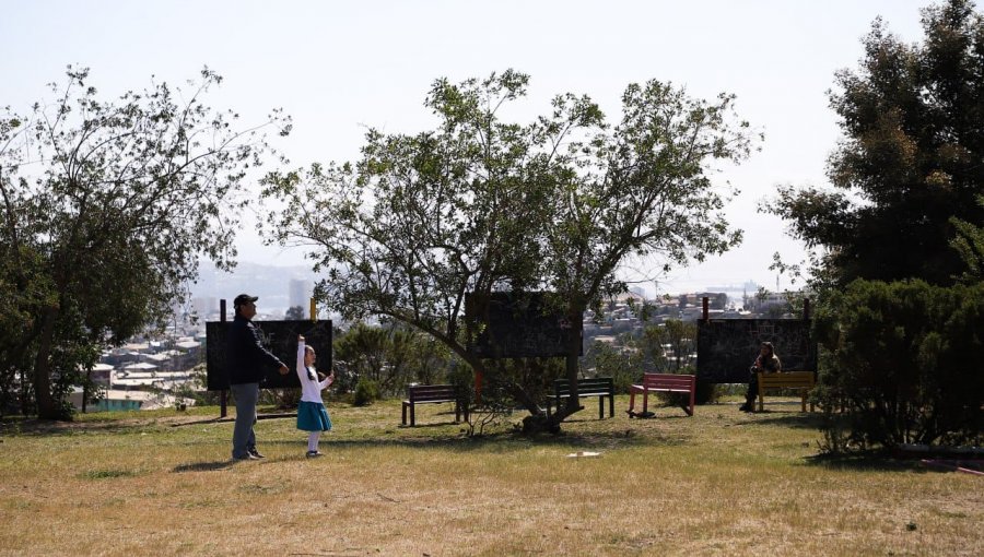 Municipio de Valparaíso invertirá $90 millones en nueva área verde para el cerro Los Placeres