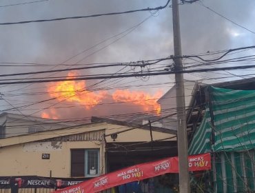 Incendio afecta a una vivienda en el sector Chorrillos Alto de Viña del Mar: existe peligro de propagación