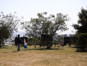 Municipio de Valparaíso invertirá $90 millones en nueva área verde para el cerro Los Placeres