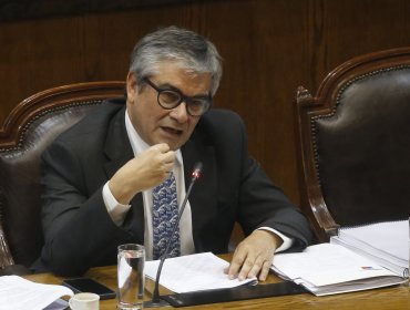 Ministro de Hacienda reconoce problemas en la institucionalidad tras decisión de Colbún de suspender millonario proyecto