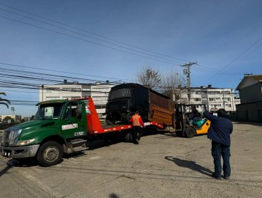 Retiran medio centenar de vehículos abandonados desde las calles de Viña del Mar