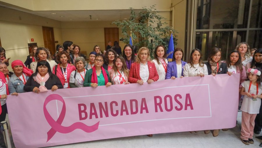 Parlamentarias conforman “Bancada Rosa” para abordar tratamiento del cáncer en mujeres