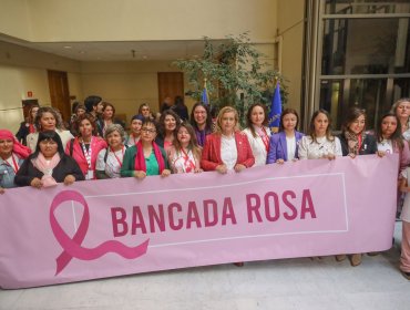 Parlamentarias conforman “Bancada Rosa” para abordar tratamiento del cáncer en mujeres