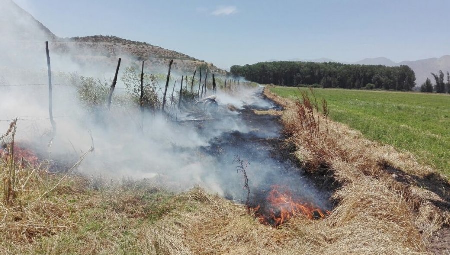 Conaf prohibió hasta mayo de 2025 las quemas agrícolas y forestales en la Quinta Región