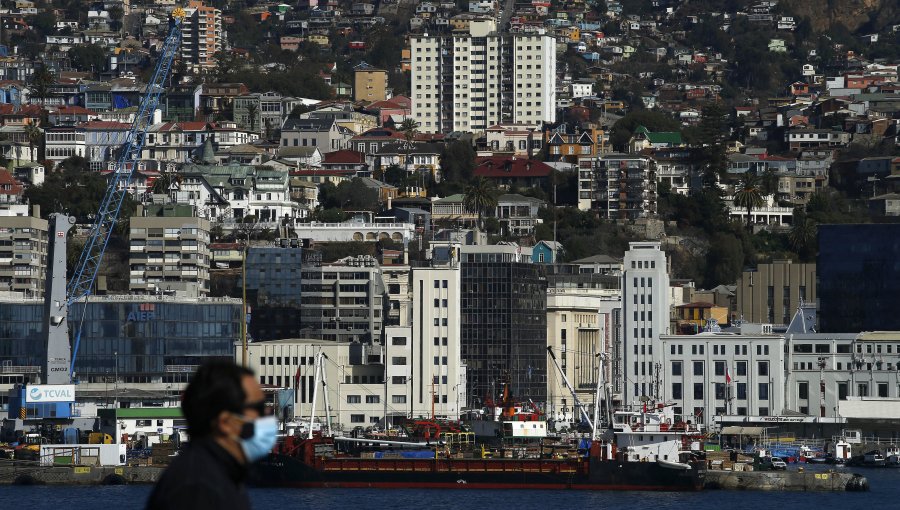 Hallan pitón desaparecida en Valparaíso: reaparece en su propio departamento