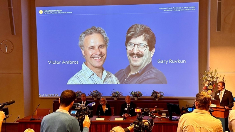 Victor Ambros y Gary Ruvkun fueron galardonados con el premio Nobel de Medicina por el descubrimiento del microARN