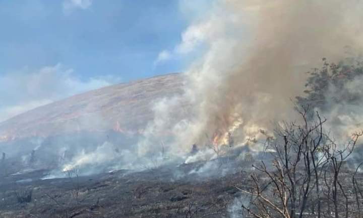 Declaran Alerta Roja para la Provincia de Isla de Pascua por incendio forestal dentro del Parque Nacional Rapa Nui