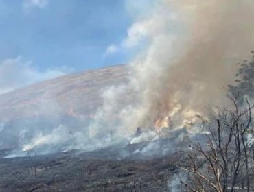 Declaran Alerta Roja para la Provincia de Isla de Pascua por incendio forestal dentro del Parque Nacional Rapa Nui