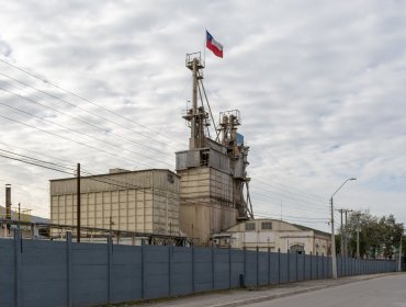 Sopraval dejará de producir pavo: Duro golpe a la empresa con presencia en ocho comunas de la región de Valparaíso