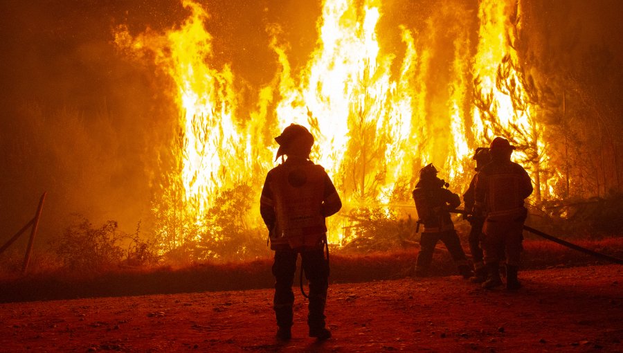 Bolivia moviliza a su Ejército para perseguir a autores de los incendios forestales de las últimas semanas