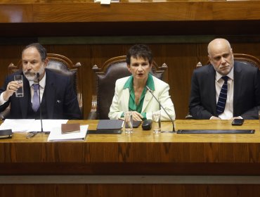 Abogado defensor de Ministra del Interior: "No hay optimismo ni pesimismo, hay seriedad"