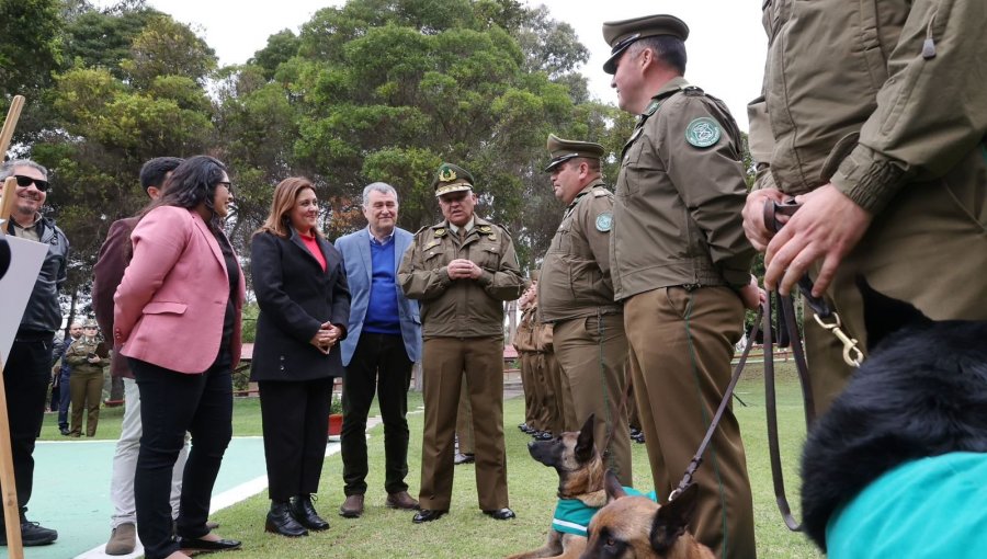 Alianza con Bienes Nacionales agiliza proyecto de Centro de Entrenamiento y Clínica Veterinaria de Carabineros en Viña del Mar